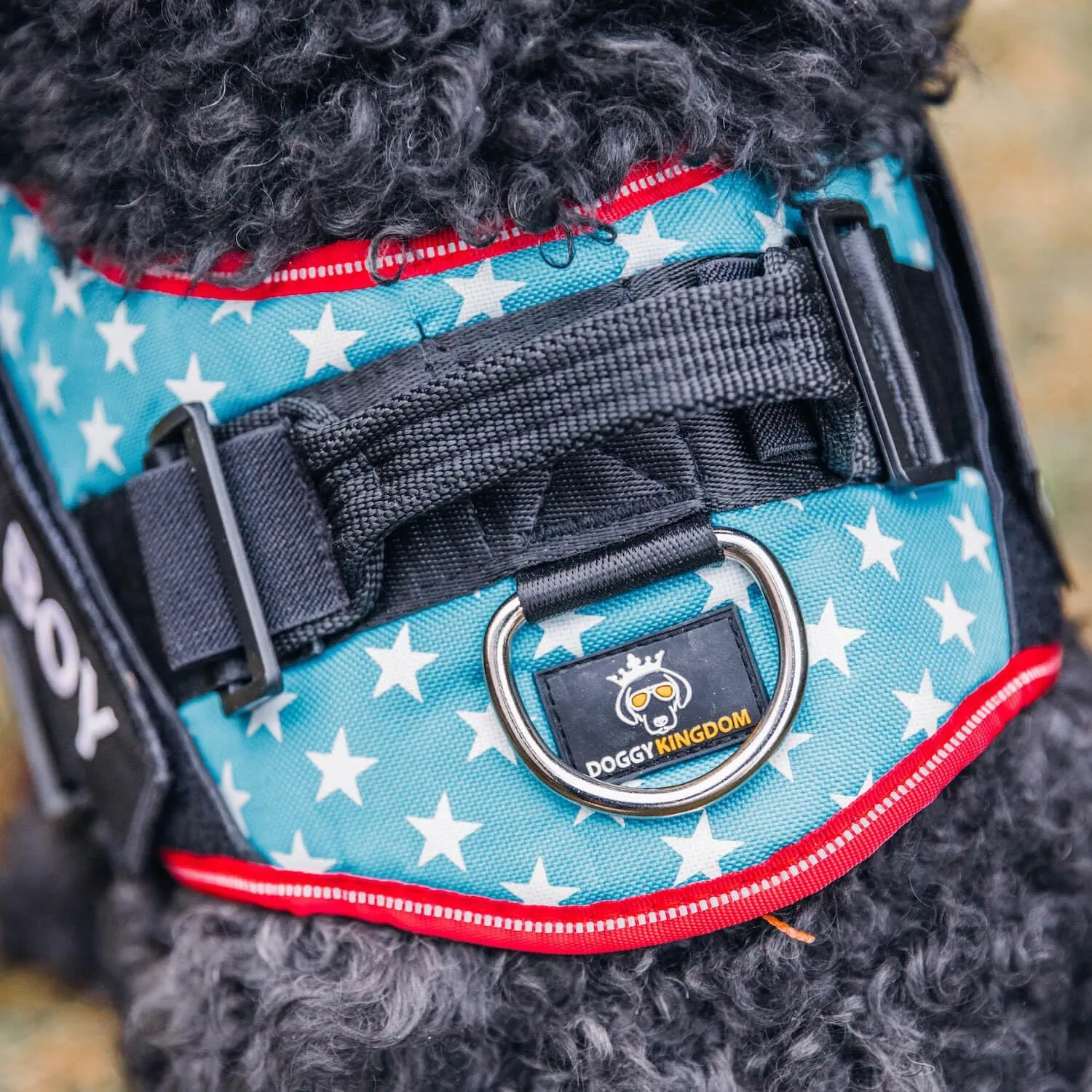 Personalized No-Pull Dog Harness with Name Patch, Adjustable, Reflective, Padded, Heavy Duty Pet Vest to Prevent Tugging, Pulling, or Choking, Training and Walking, Military Green, M