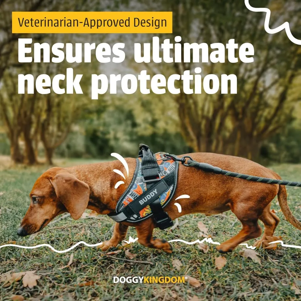 Personalized No-Pull Dog Harness with Name Patch, Adjustable, Reflective, Padded, Heavy Duty Pet Vest to Prevent Tugging, Pulling, or Choking, Training and Walking, Military Green, M