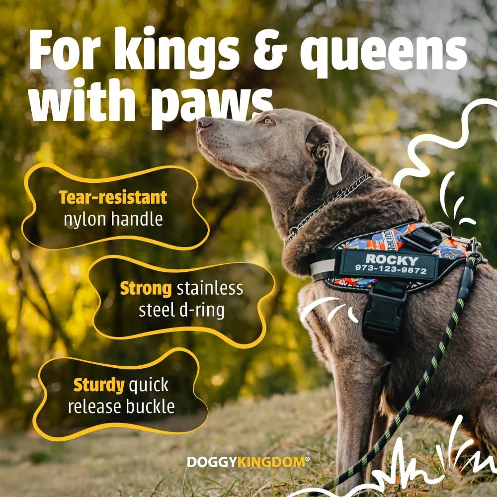 Personalized No-Pull Dog Harness with Name Patch, Adjustable, Reflective, Padded, Heavy Duty Pet Vest to Prevent Tugging, Pulling, or Choking, Training and Walking, Military Green, M