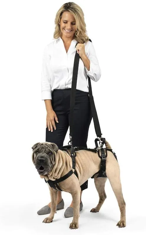 PetSafe CareLift Support Harness - Full Body Lifting Aid with Handle - Great for Pet Mobility and Older Dogs - Comfortable, Breathable Material - Easy to Adjust, Medium