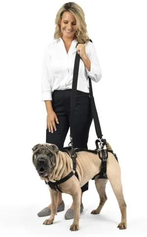 PetSafe CareLift Support Harness - Full Body Lifting Aid with Handle - Great for Pet Mobility and Older Dogs - Comfortable, Breathable Material - Easy to Adjust, Medium