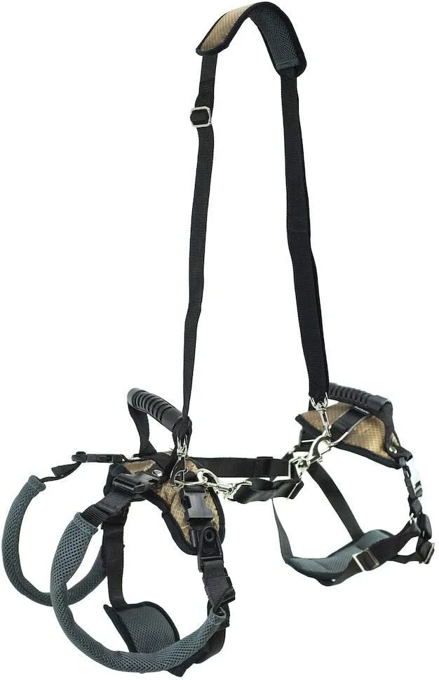 PetSafe CareLift Support Harness - Full Body Lifting Aid with Handle - Great for Pet Mobility and Older Dogs - Comfortable, Breathable Material - Easy to Adjust, Medium