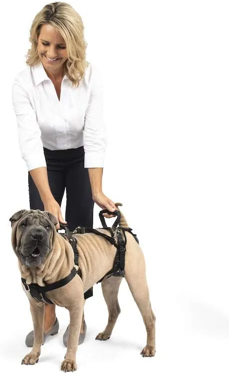 PetSafe CareLift Support Harness - Full Body Lifting Aid with Handle - Great for Pet Mobility and Older Dogs - Comfortable, Breathable Material - Easy to Adjust, Medium