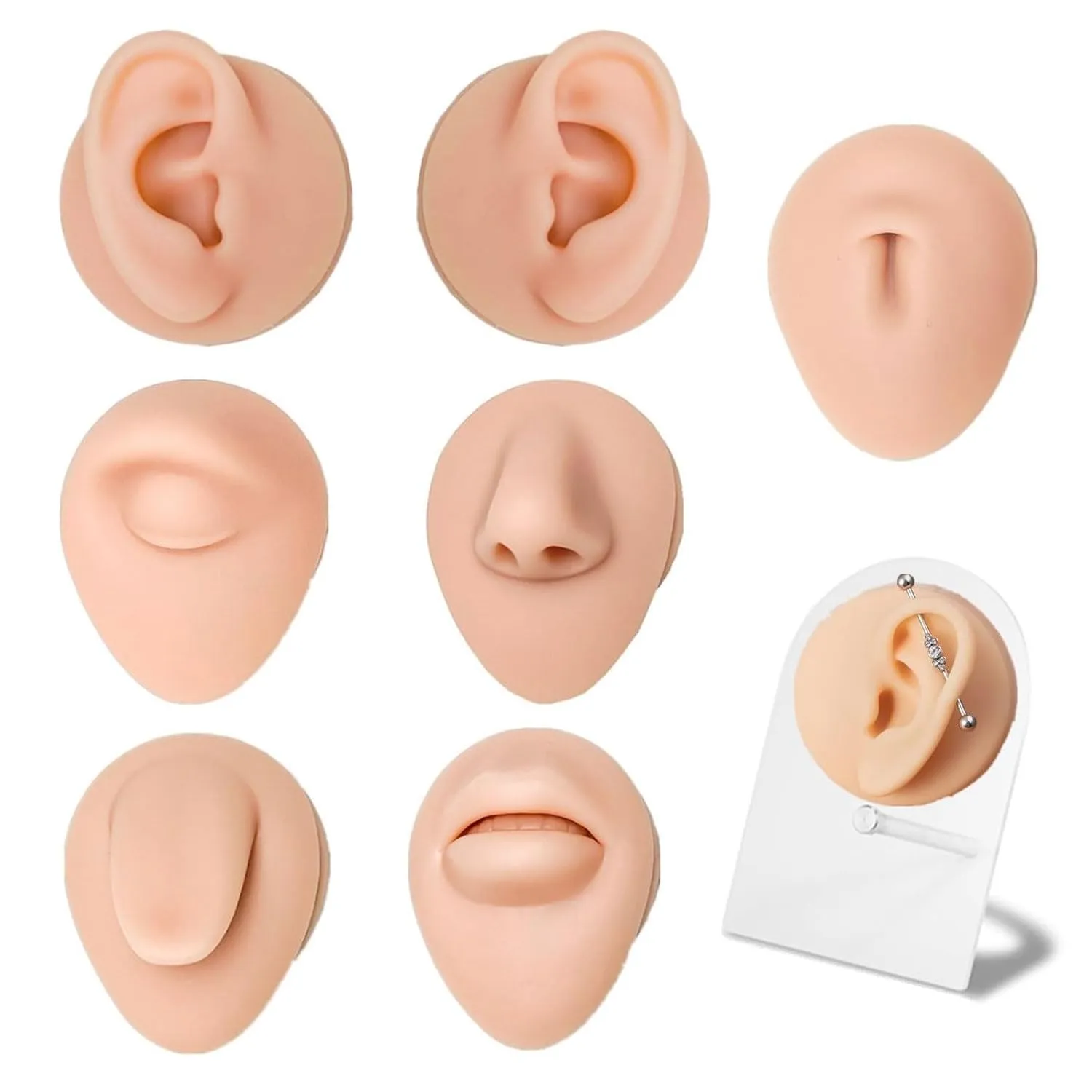 Piercing Kit for Practice - 7pcs Silicone Model Body Part Model with 1pcs Holder Ear Nose Belly Button Septum Tongue Eyebrow Piercing Kit for all Piercings Display Set