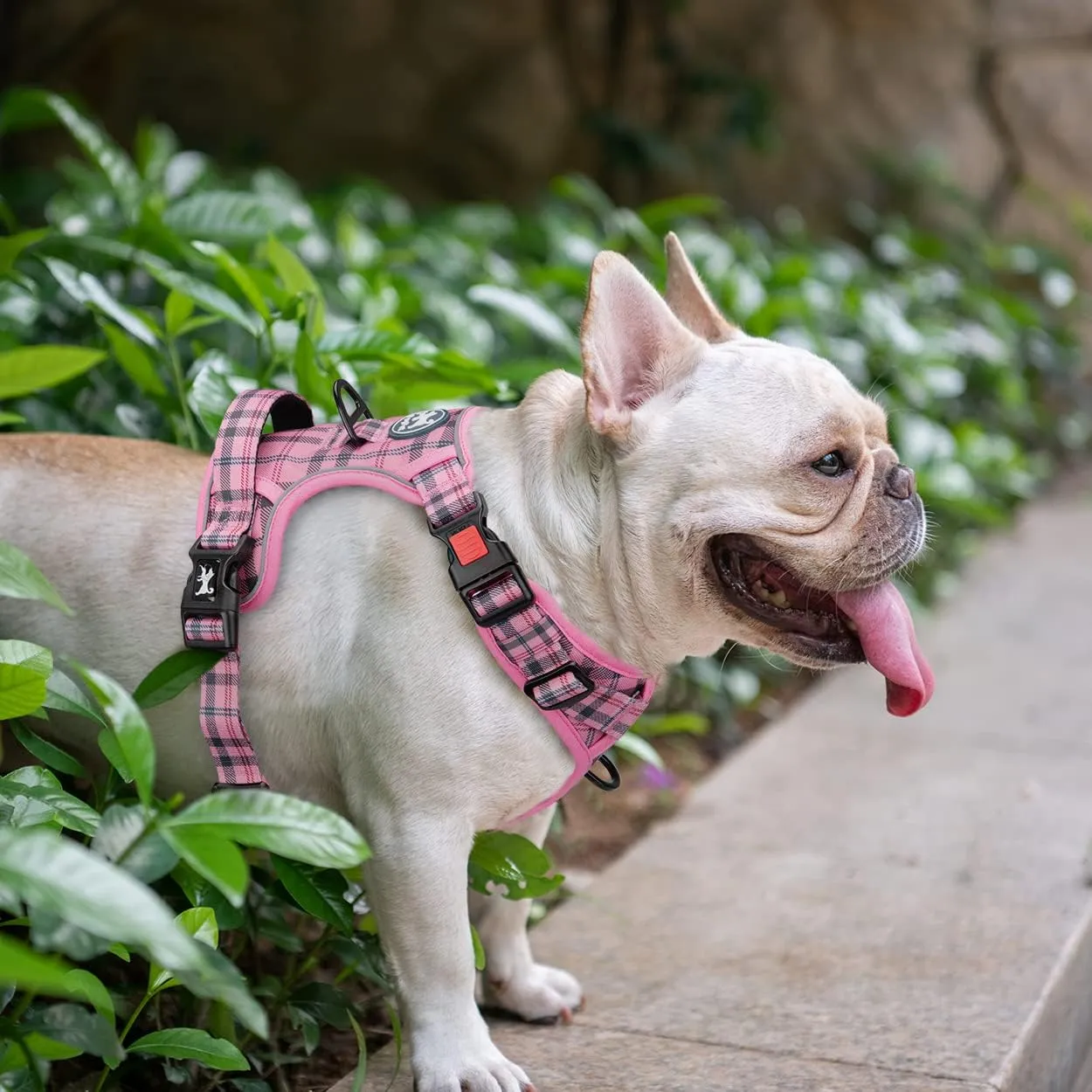 PoyPet No Pull Dog Harness, [Release at Neck] Reflective Adjustable No Choke Pet Vest with Front & Back 2 Leash Attachments, Soft Control Training Handle for Small Dogs(Checkered Pink,XS)