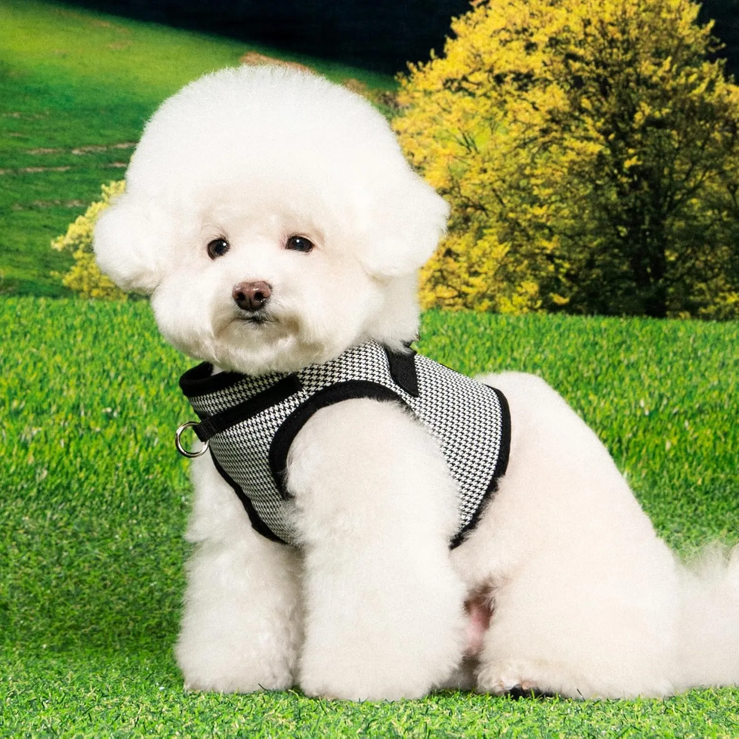 Puppia Amatus Dog Vest Harness B (Step-in) Fashionable Houndstooth Pattern Spring Summer Harness for Small and Medium Dogs, Black, Large