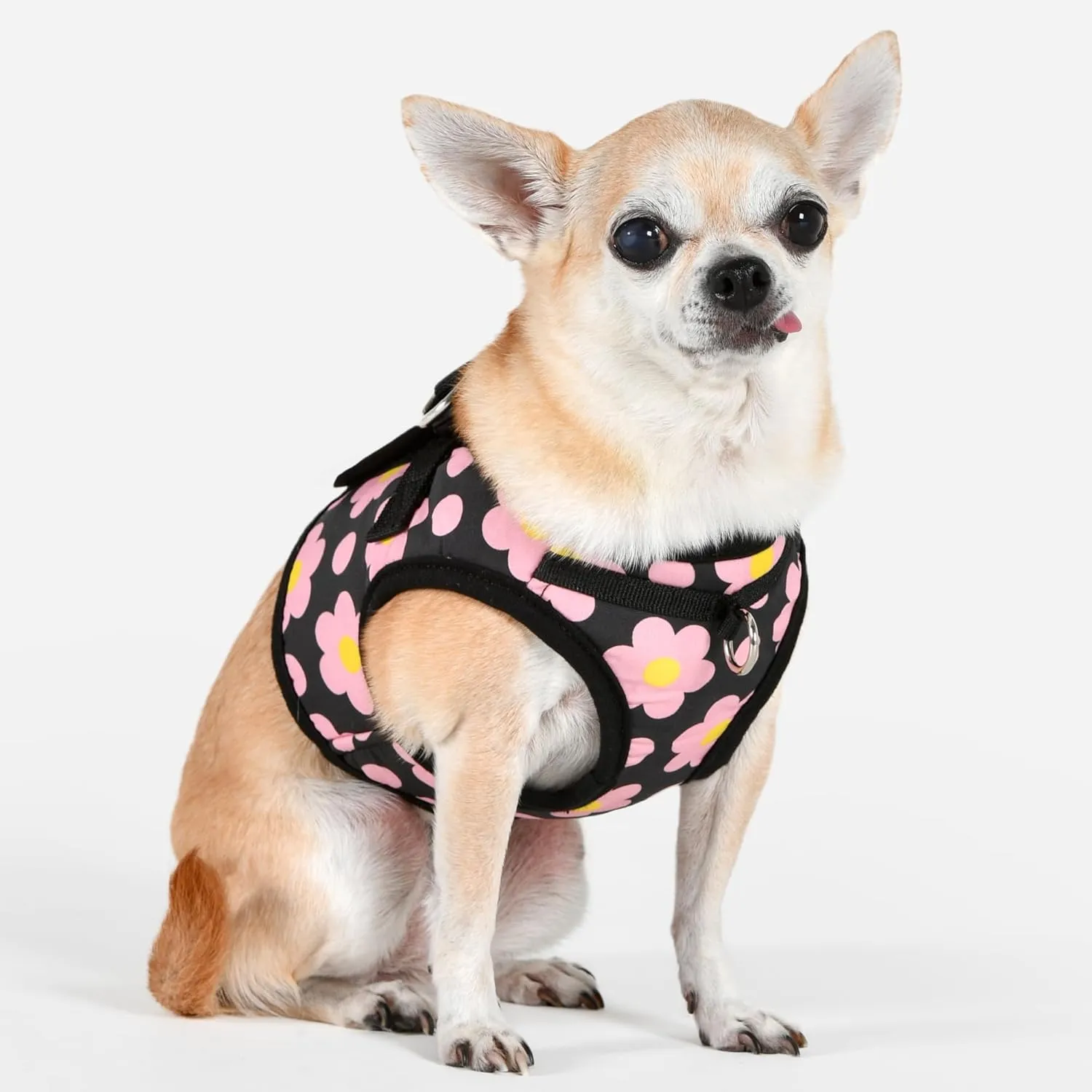 Puppia Bacopas Dog Vest Harness B (Step-in) Fashionable Flower Pattern Spring Summer Harness for Small and Medium Dogs, Black, Medium