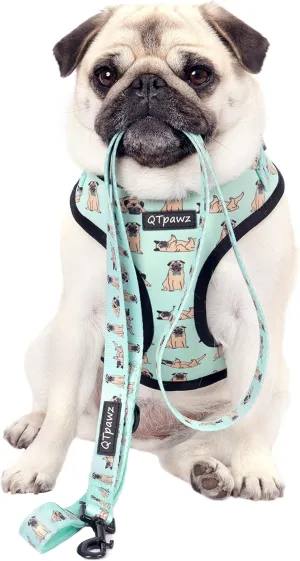QTpawz Pug Vest Harness and Matching Leash, Breathable Mesh Interior Liner, 4 Adjusting Buckles to Get The Perfect Pug Fit (Medium)