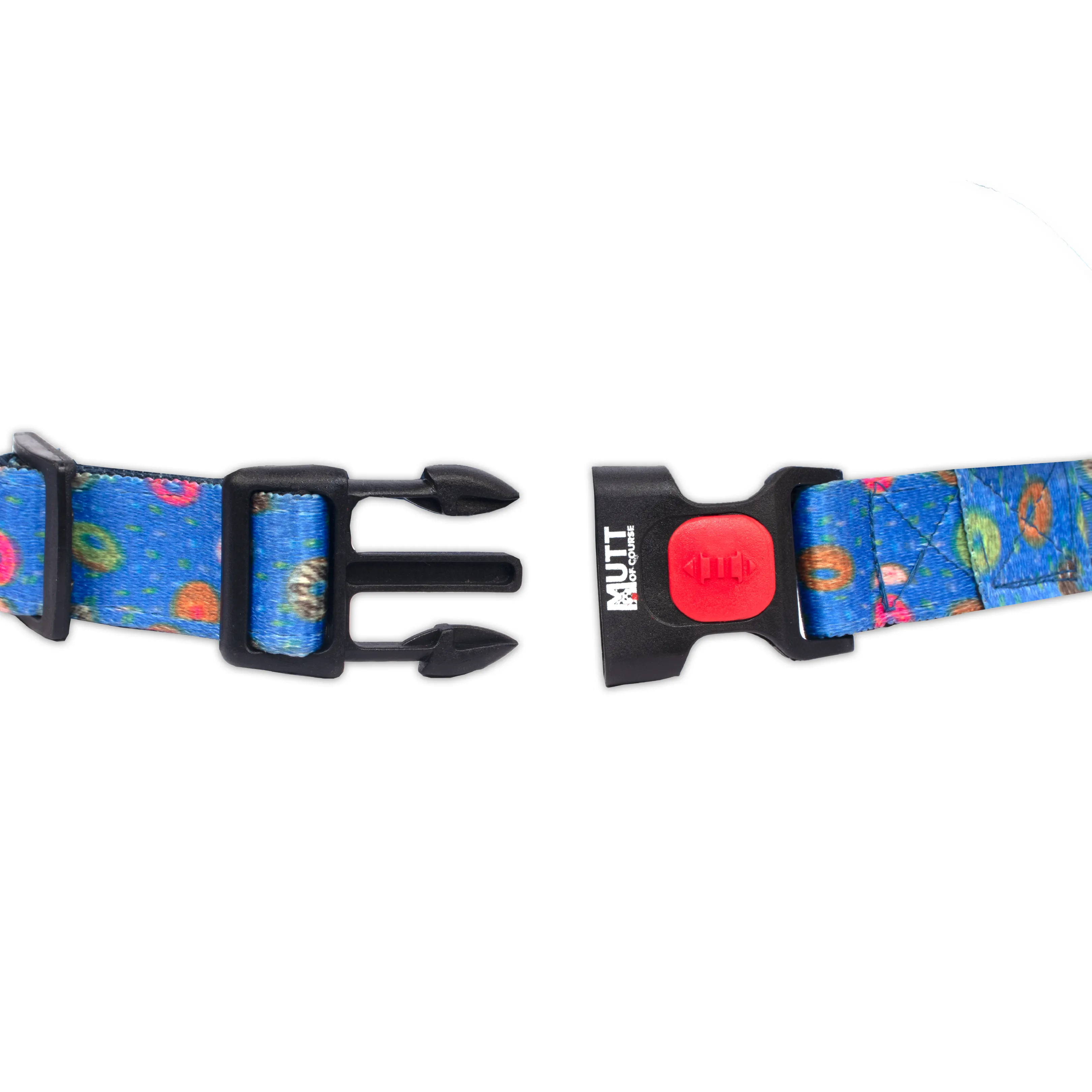 Raining Donuts H Harness