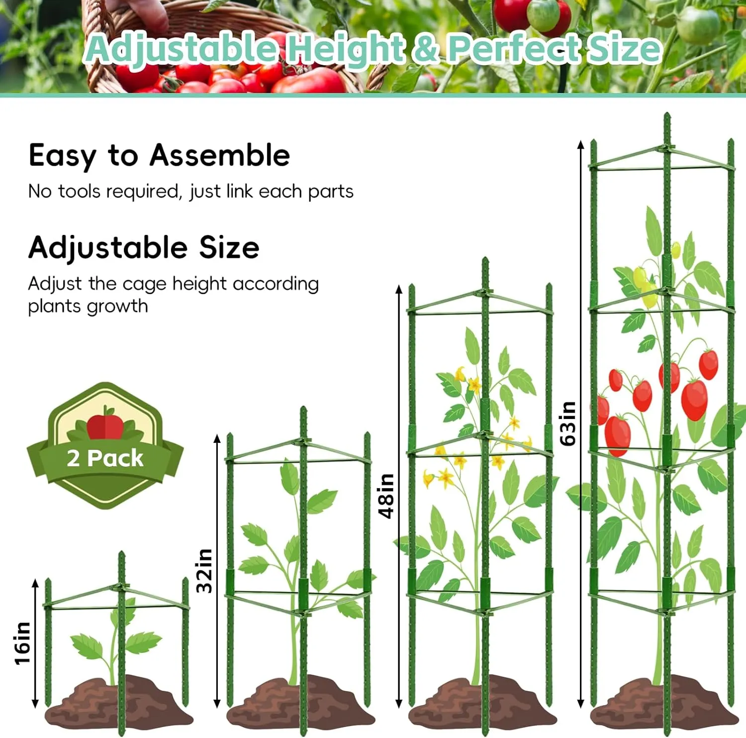 Riare 2 Pack 4 FT Tomato Cages for Garden- 48inches Heavy Duty Garden Stakes, Adjustable Tall Tomato Plant Support Tomato Trellis Cage for Pots, Raised Garden Bed, Climbing Vegetables Plants Flowers