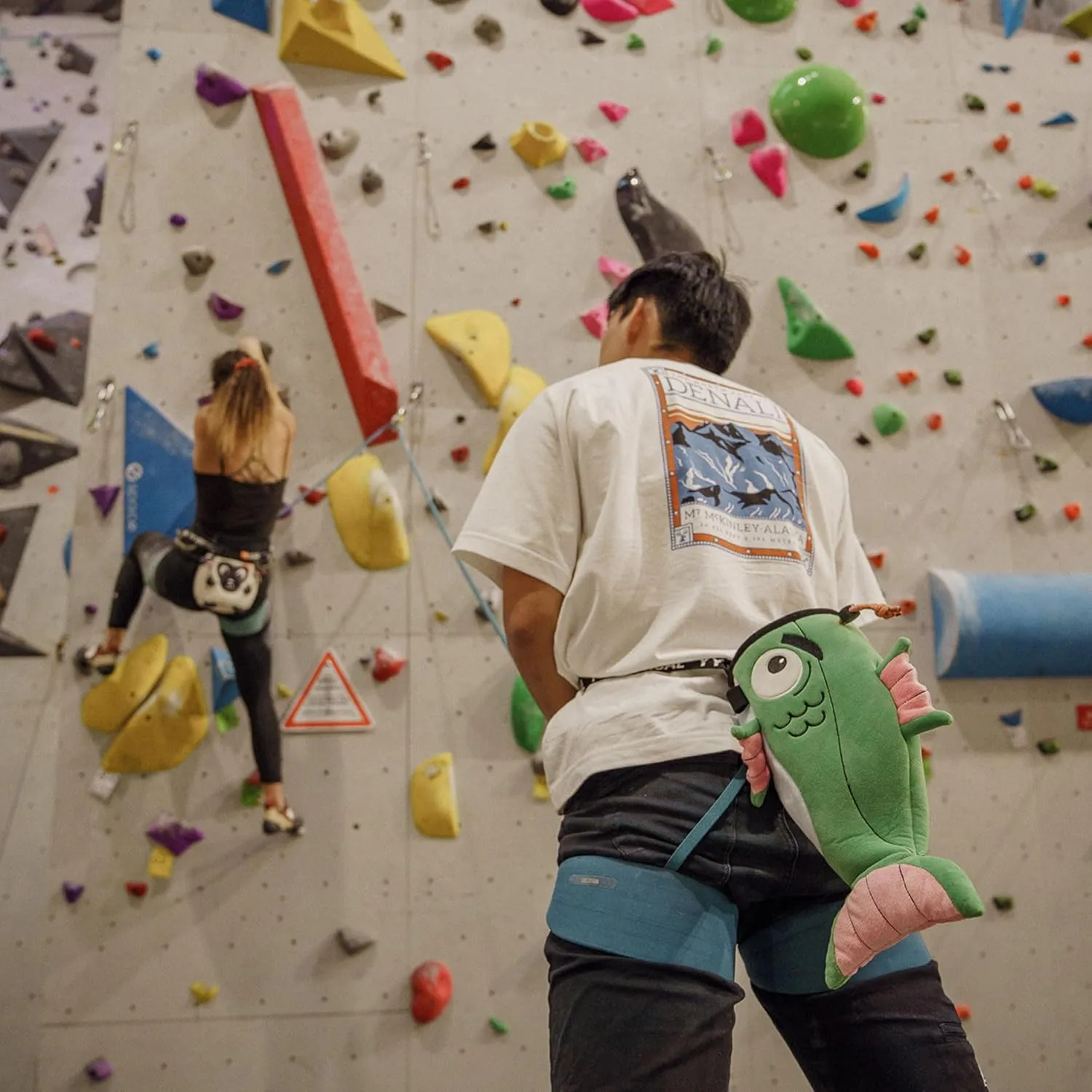 Rock Climbing Chalk Bags