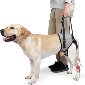 ROZKITCH Dog Lift Harness, Pet Rear Support Aid Veterinarian Approved Sling for Old K9 Help with Poor Stability, Back Leg Hip Disabled Joint Injury Elderly Arthritis ACL Rehabilitation Rehab Grey XL