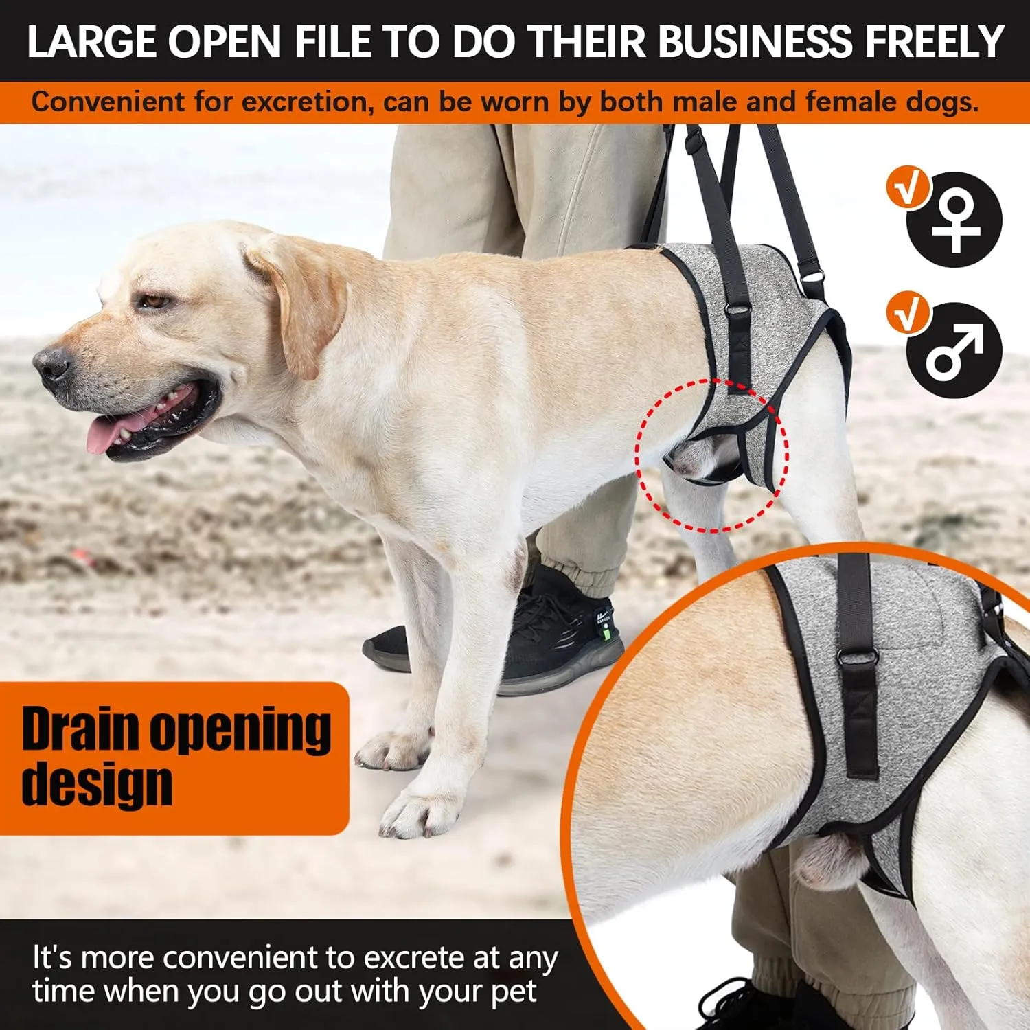 ROZKITCH Dog Lift Harness, Pet Rear Support Aid Veterinarian Approved Sling for Old K9 Help with Poor Stability, Back Leg Hip Disabled Joint Injury Elderly Arthritis ACL Rehabilitation Rehab Grey XL