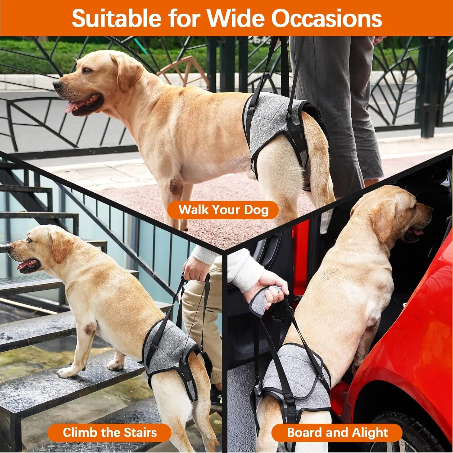ROZKITCH Dog Lift Harness, Pet Rear Support Aid Veterinarian Approved Sling for Old K9 Help with Poor Stability, Back Leg Hip Disabled Joint Injury Elderly Arthritis ACL Rehabilitation Rehab Grey XL