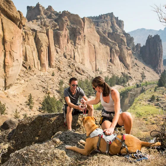 Ruffwear Doubleback Harness