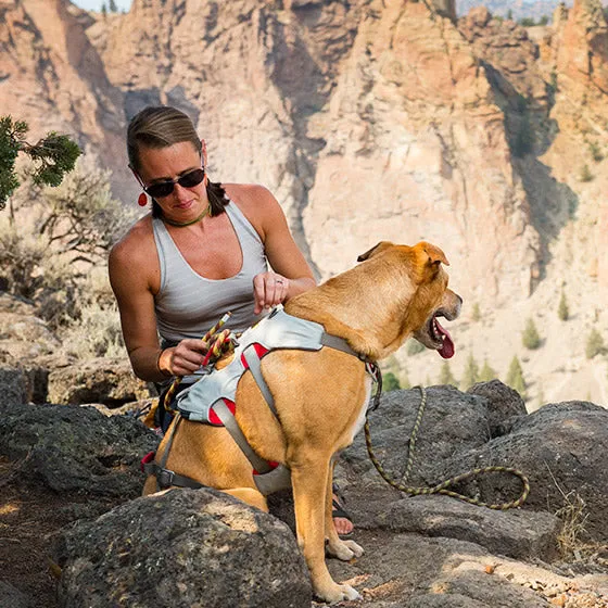 Ruffwear Doubleback Harness
