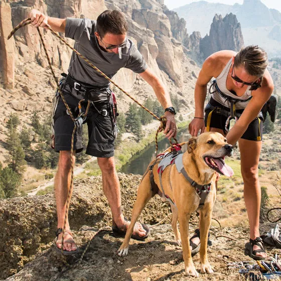 Ruffwear Doubleback Harness
