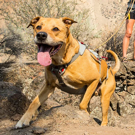 Ruffwear Doubleback Harness