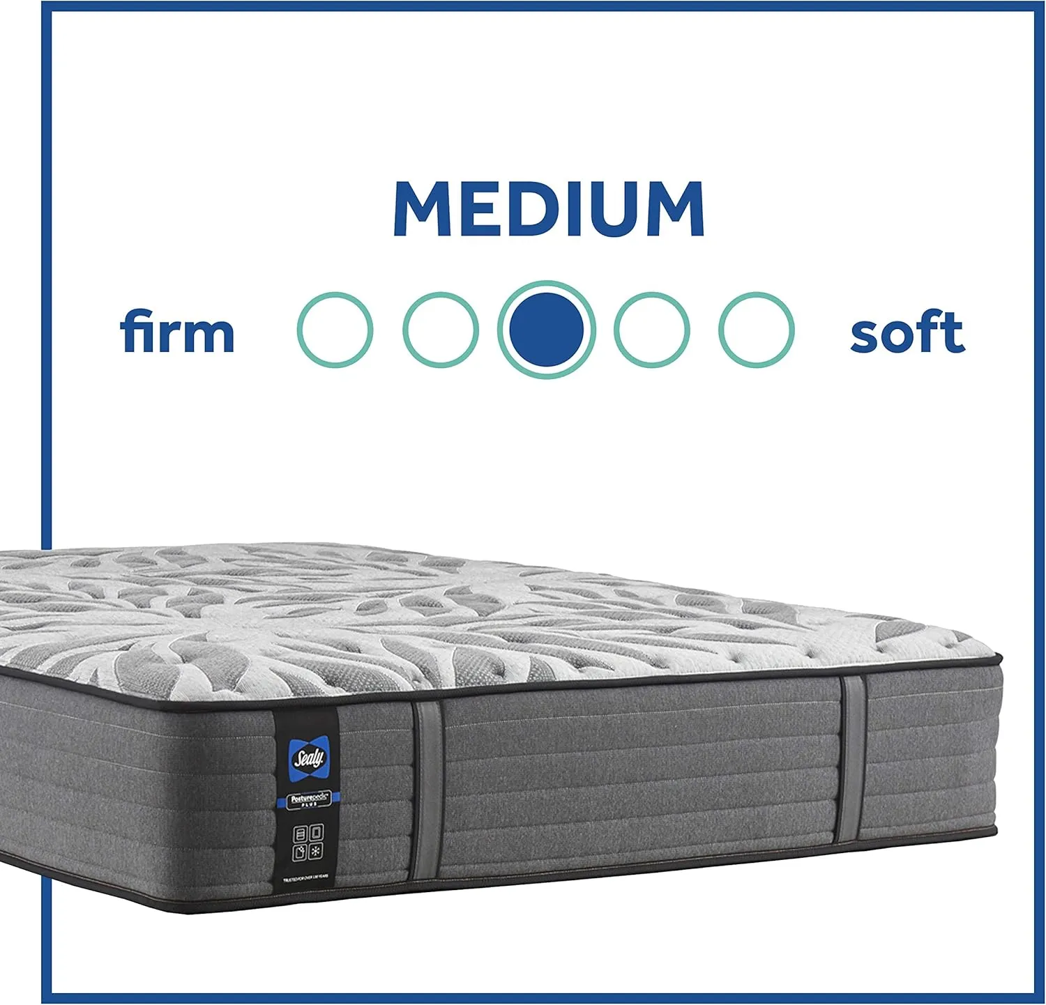 Sealy Posturepedic Plus Mattress with Surface-Guard and 9 Foundation, Tight Top 13-Inch Medium, Queen, Grey