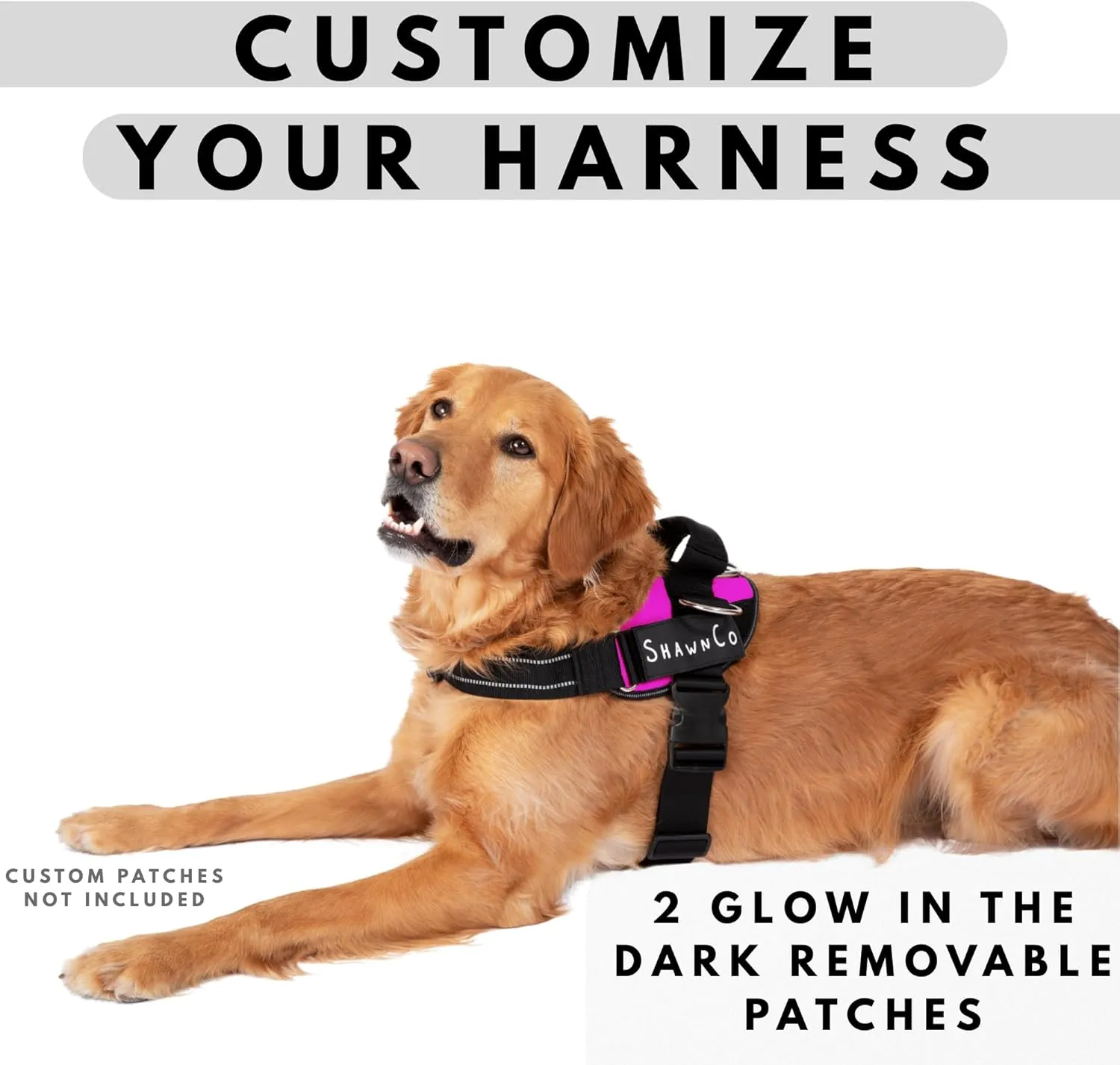 ShawnCo Essential Pro Dog Harness, No-Pull Pet Vest with 3 Leash Clips and Removable, Reflective Side Patches, Adjustable and Padded Harness for Small, Medium and Large Dogs (ICY Lilac, L)