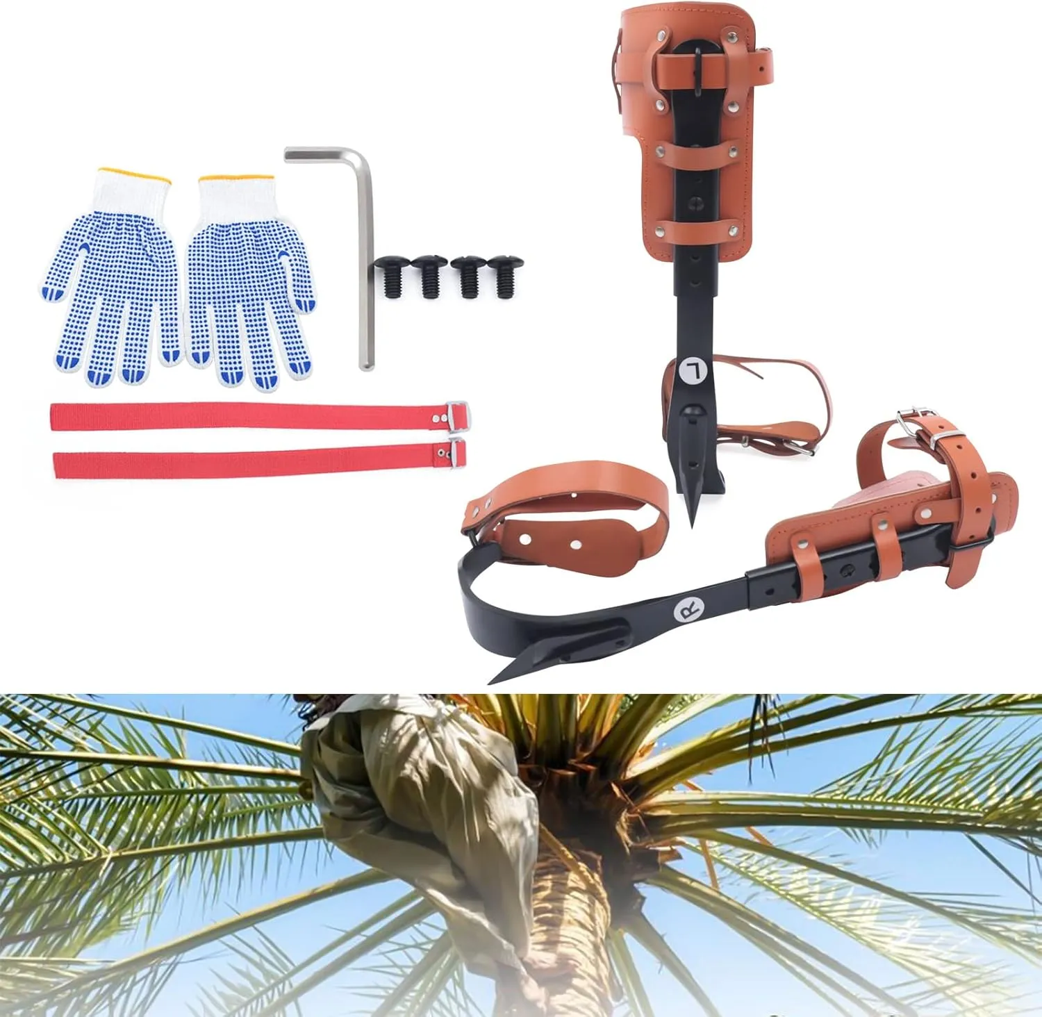 Tree Climbing Spike Set Tree Climbing Tool with Adjustable Belt Lanyard Straps Safety for Outdoor Fruit Pick Jungle