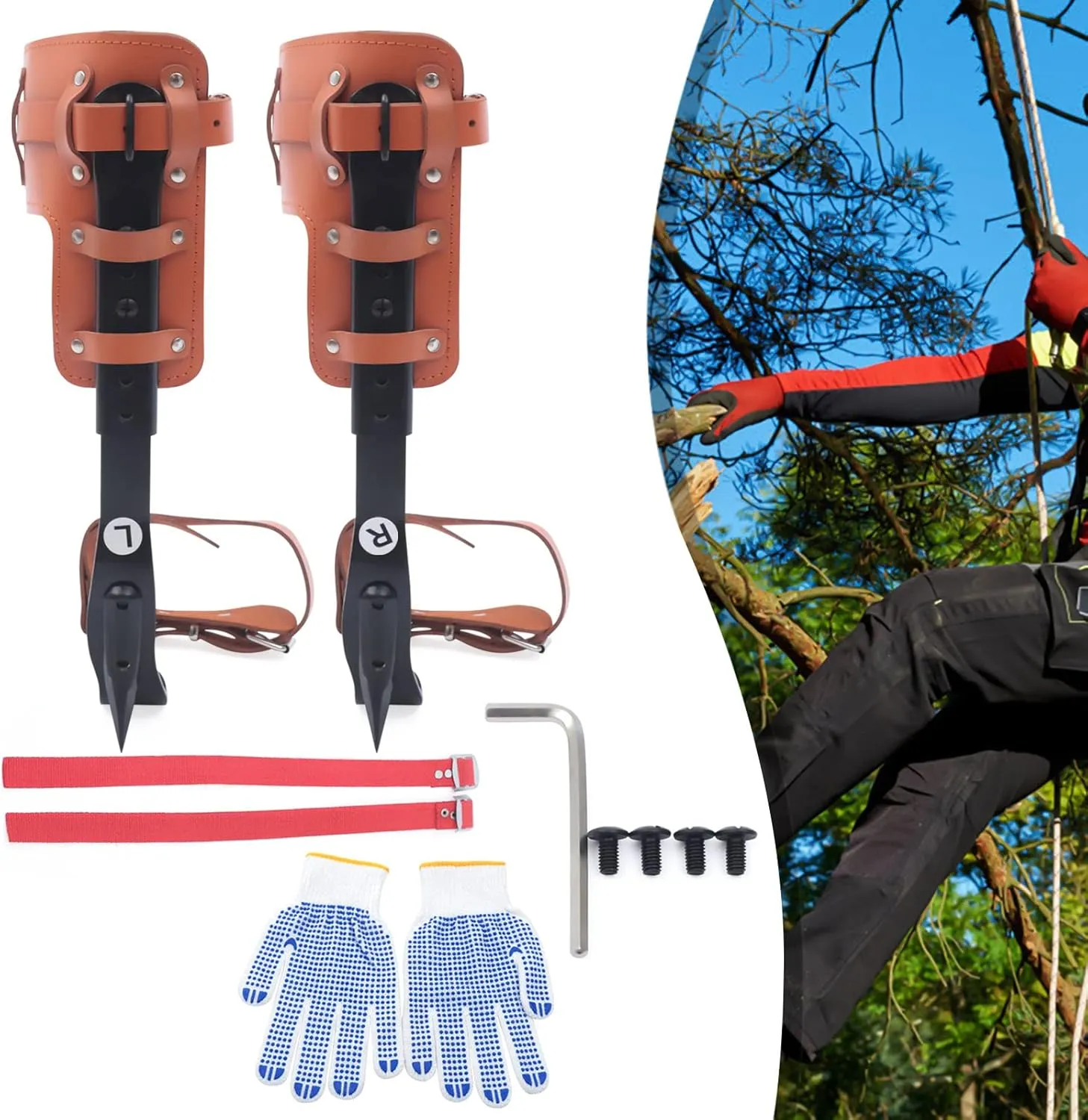 Tree Climbing Spike Set Tree Climbing Tool with Adjustable Belt Lanyard Straps Safety for Outdoor Fruit Pick Jungle