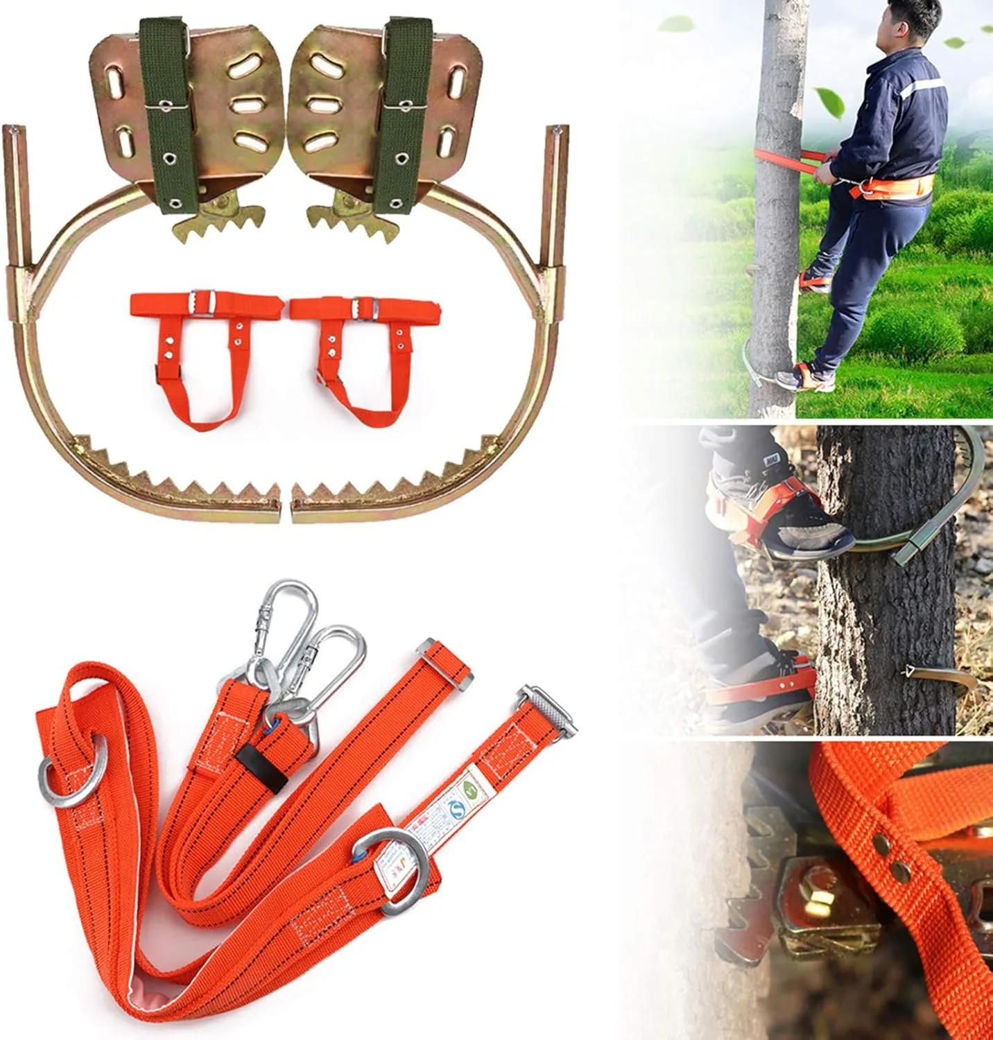 Tree Climbing Tool, Stainless Steel Professional Tree Climbing Gear Kit with Safe Belt, Adjustable Pole Climbing Spikes for Climbing Hunting Observation Picking Fruit,600model