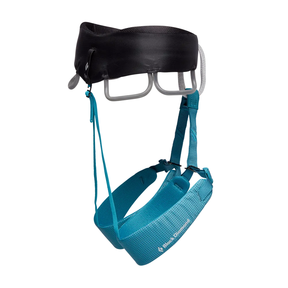 W Momentum Harness